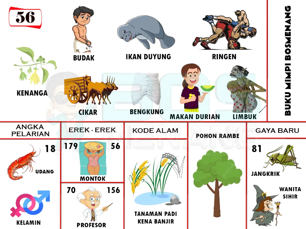 buku mimpi erek erek togel 56